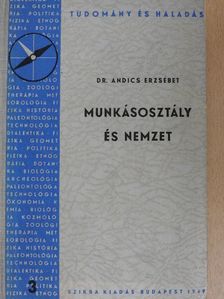 Dr. Andics Erzsébet - Munkásosztály és nemzet [antikvár]