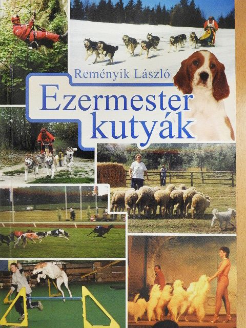 Árkosi József - Ezermester kutyák [antikvár]