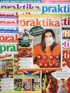 Kurdi Gabi - Praktika 2007. január-december [antikvár]