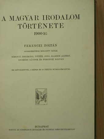 Endrődi Sándor - A magyar irodalom története 1900-ig [antikvár]