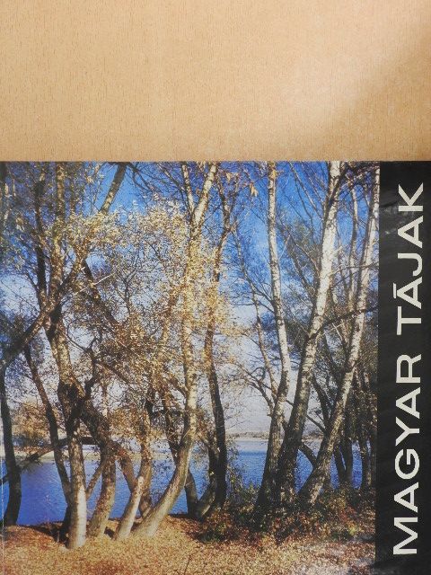 Czeizing Lajos - Magyar tájak [antikvár]
