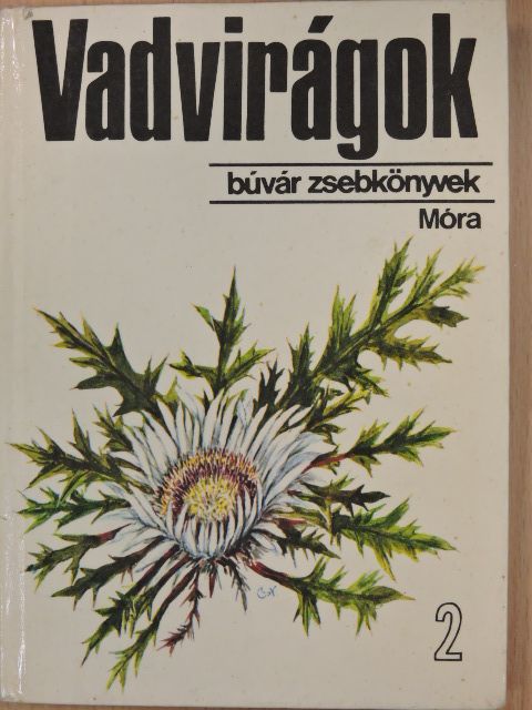 D. Nagy Éva - Vadvirágok 2. [antikvár]