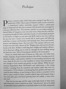 Tana French - In the Woods [antikvár]