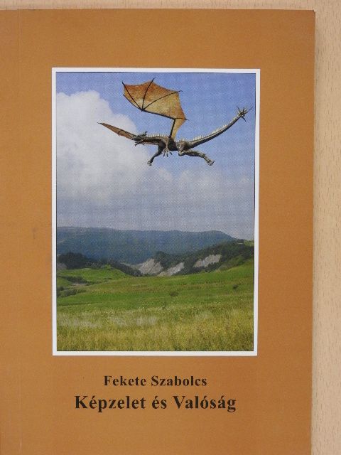 Fekete Szabolcs - Képzelet és Valóság [antikvár]