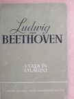 Richard Petzoldt - Ludwig van Beethoven [antikvár]