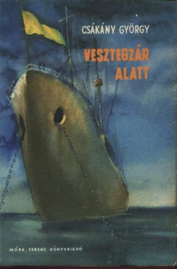 Csákány György - Vesztegzár alatt [antikvár]
