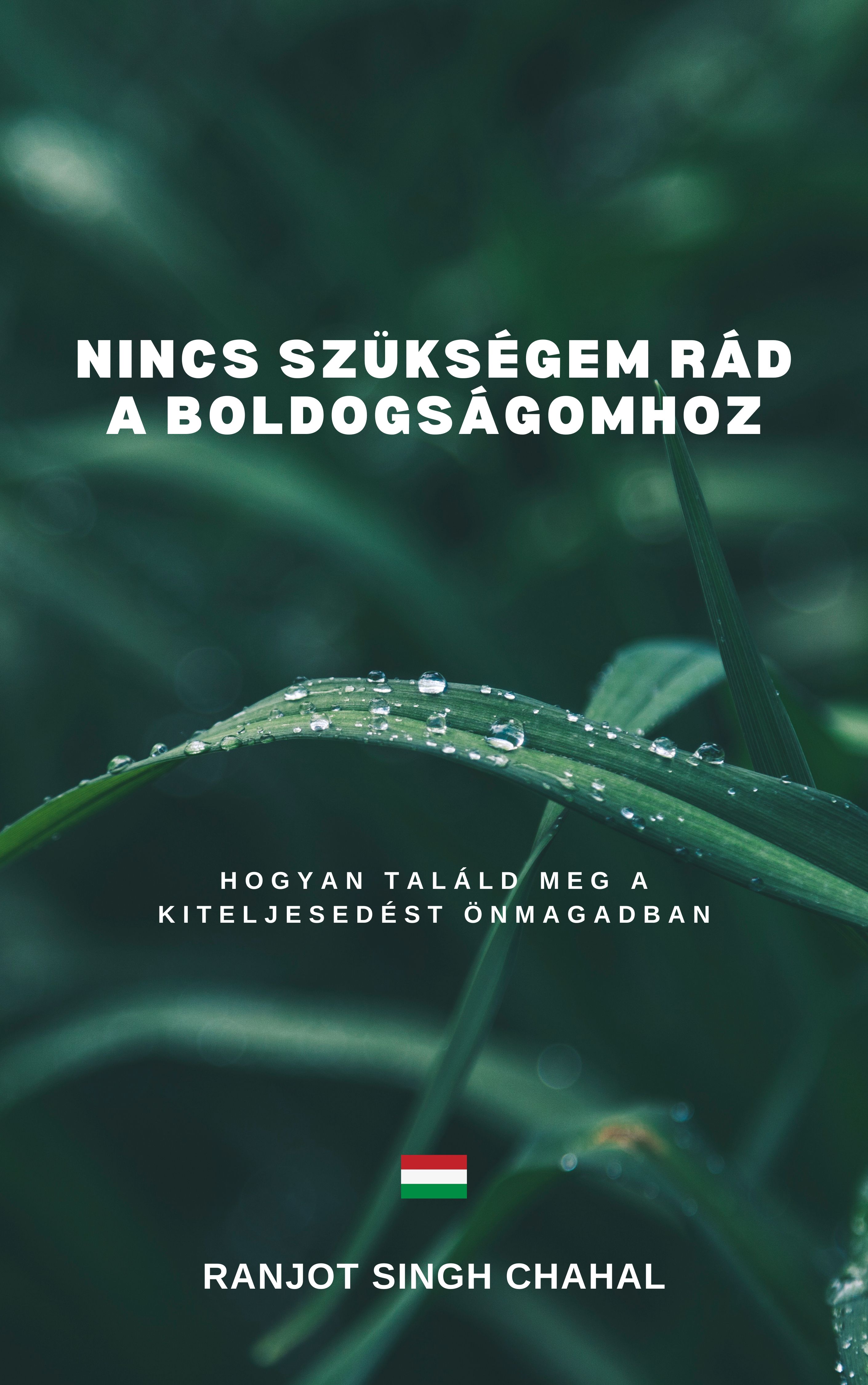 Singh Chahal Ranjot - Nincs Szükségem Rád a Boldogságomhoz [eKönyv: epub, mobi]