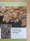 Előd Réka - Fedezze fel a Szemlő-hegyibarlangot! [antikvár]