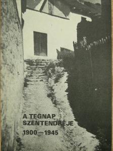 Pamlényi Klára - A tegnap Szentendréje [antikvár]
