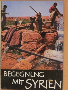 Hans Fischer - Begegnung mit Syrien [antikvár]