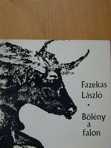 Fazekas László - Bölény a falon [antikvár]