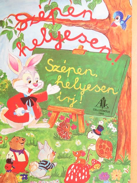 Csájiné Knézics Anikó - Szépen, helyesen írj! [antikvár]