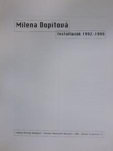 Pavel Liska - Installációk 1992-1999 [antikvár]