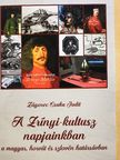 Zágorec-Csuka Judit - A Zrínyi-kultusz napjainkban a magyar, horvát és szlovén határsávban [antikvár]