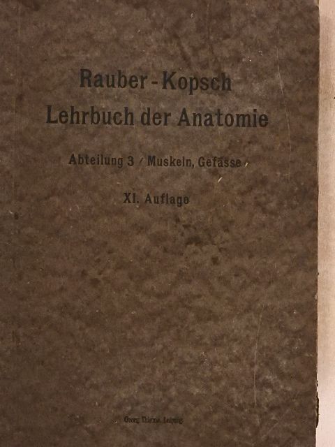 Prof. Fr. Kopsch - Rauber's Lehrbuch der Anatomie des Menschen Abteilung 3. (töredék) [antikvár]