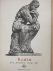 Cécile Goldscheider - Rodin [antikvár]