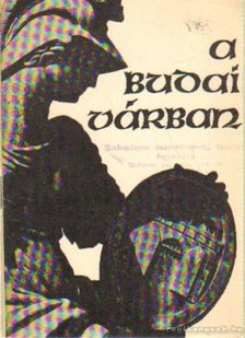 Pákozdi Endre (szerk.) - A budai várban [antikvár]