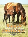 Babochay Sándor - Magyar lovaskönyv [antikvár]