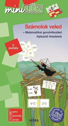 LDI542 - Számolok veled - matematikai gondolkodást fejlesztő feladatok 3. osztály