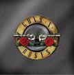 GREATEST HITS 2LP GUNS N'ROSES