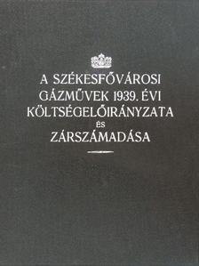 Becsey Antal - A székesfővárosi gázművek 1939. évi költségelőirányzata és zárszámadása [antikvár]