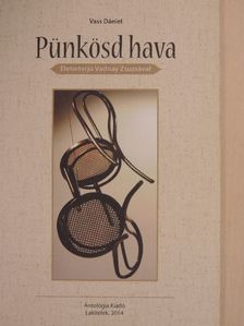 Vass Dániel - Pünkösd hava [antikvár]