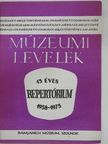 Bálintné Hegyesi Júlia - Múzeumi levelek [antikvár]
