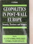 Christopher Cviic - Geopolitics in Post-Wall Europe [antikvár]