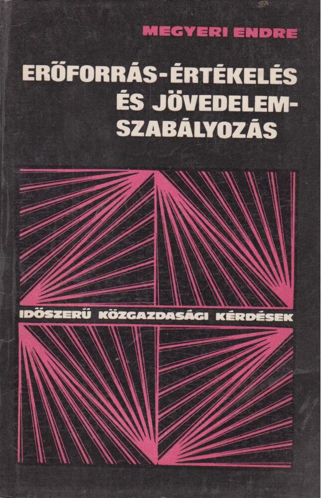 Megyeri Endre - Erőforrás-értékelés és jövedelemszabályozás [antikvár]