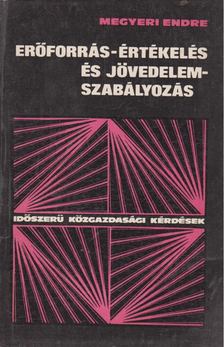 Megyeri Endre - Erőforrás-értékelés és jövedelemszabályozás [antikvár]