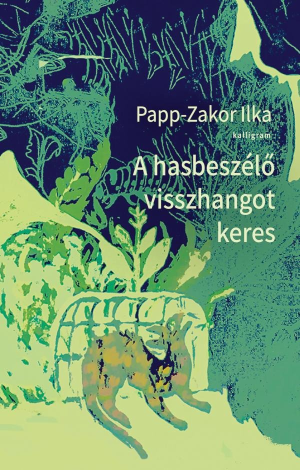 Papp-Zakor Ilka - A hasbeszélő visszhangot keres [eKönyv: epub, mobi]