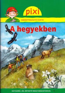 Nicole Künzel - A hegyekben [antikvár]