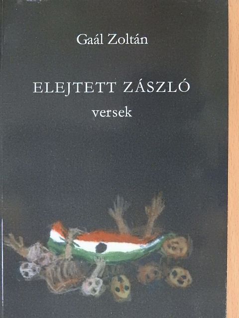 Gaál Zoltán - Elejtett zászló [antikvár]