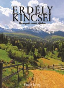 Pataki János - Erdély kincsei - Barangolás csodás tájakon [antikvár]
