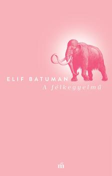 Batuman, Elif - A félkegyelmű