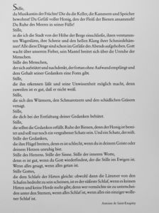 Reichtum der Stille [antikvár]
