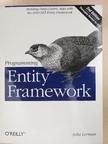 Julia Lerman - Programming Entity Framework [antikvár]