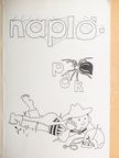 Napló-pók [antikvár]