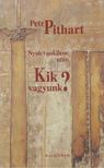 Petr Pithart - Nyolcvankilenc után - Kik vagyunk? [antikvár]