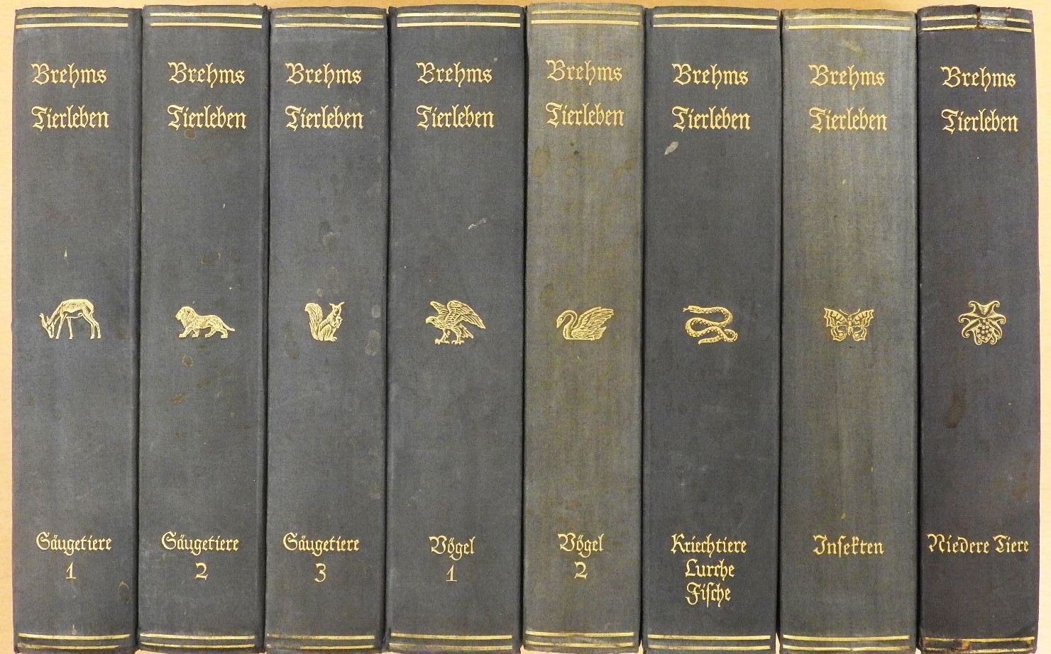 Alfred Brehm - Brehms Tierleben I-VIII. (gótbetűs) [antikvár]