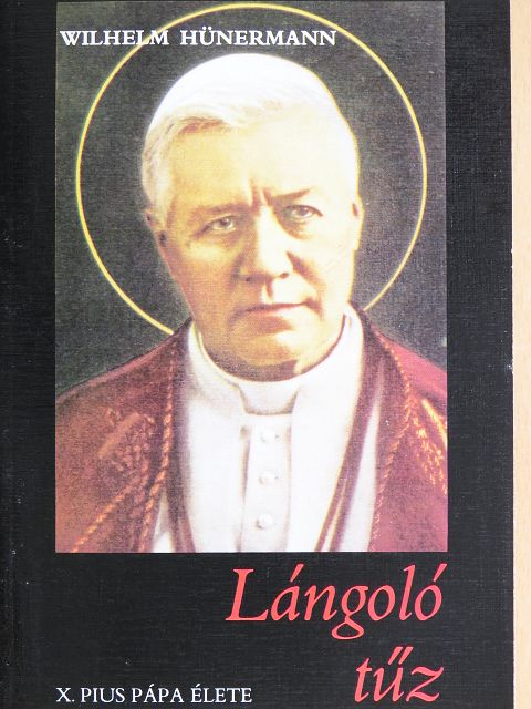 Wilhelm Hünermann - Lángoló tűz [antikvár]