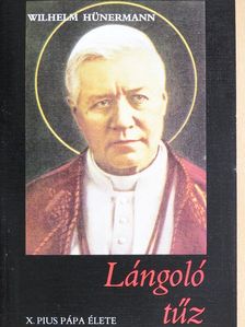 Wilhelm Hünermann - Lángoló tűz [antikvár]