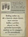 Csia Lajos - Vetés és aratás 1988/3 [antikvár]