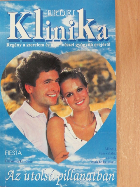 Christine Lindner - Az utolsó pillanatban [antikvár]