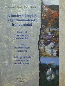 Kiszel Vilmos - A határon átnyúló együttműködések irányvonalai [antikvár]