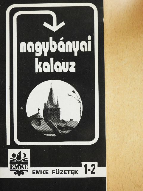 Metz József - Nagybányai kalauz [antikvár]