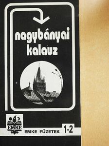 Metz József - Nagybányai kalauz [antikvár]