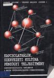 Szántó Zoltán, Vedres Balázs - Kapcsolathálók, szervezeti kultúra, pénzügyi teljesítmény [antikvár]
