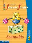 Kriston, Bordi Zsuzsanna - DIFER Fejlesztő füzetek - Számolás - MS-9330V [antikvár]