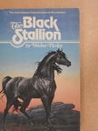 Walter Farley - The Black Stallion [antikvár]